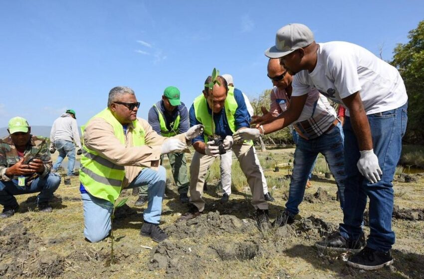  Siembran más de 120 mil plantas en las zonas costeras del país en 2022