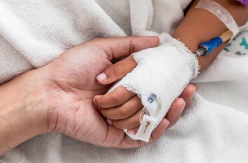  Un menor fallece por posible rabia en Oaxaca, al suroccidente de México