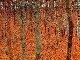  Todo lo que hay que saber sobre el otoño y sus cielos
