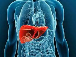  ¿Cómo cuidar el hígado mientras celebras Navidad?