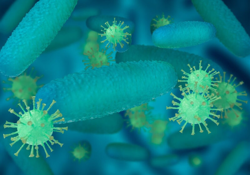  ¿Qué es el ántrax, la bacteria que tiene bajo alerta a República Dominicana?