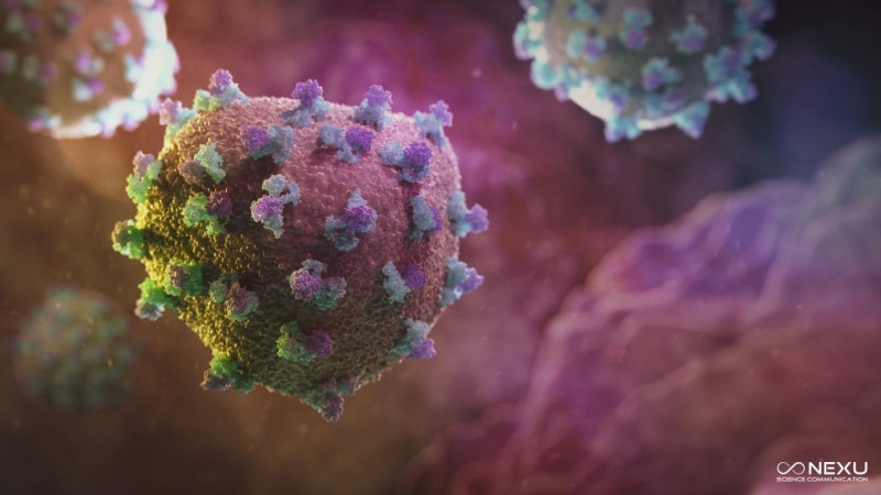  Nuevo avance contra la hepatitis C para mejorar la esperanza de vida