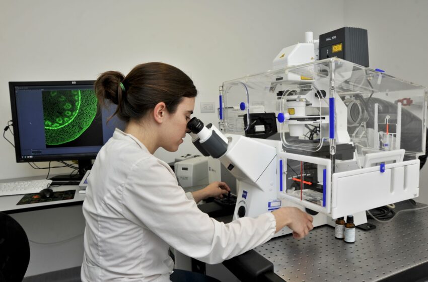  Estudios Clínicos: Una alternativa prometedora en el tratamiento de pacientes