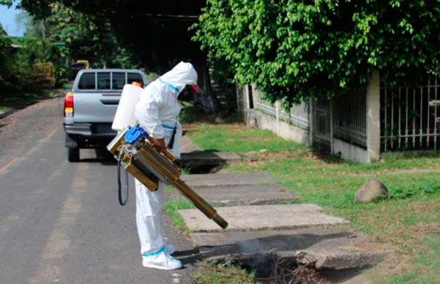  Se duplican los casos de dengue en Panamá, que acumula 28 muertes por la enfermedad
