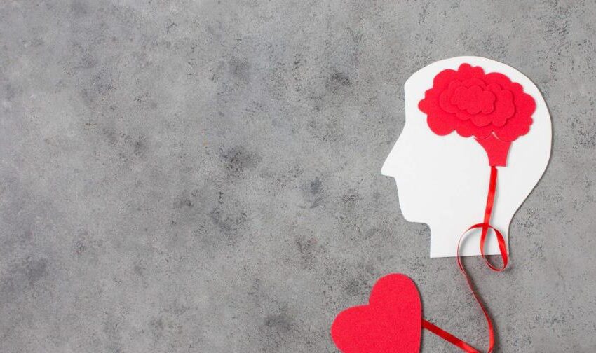  ¿Dónde reside el amor en el cerebro y cómo se activa? Un estudio lo revela