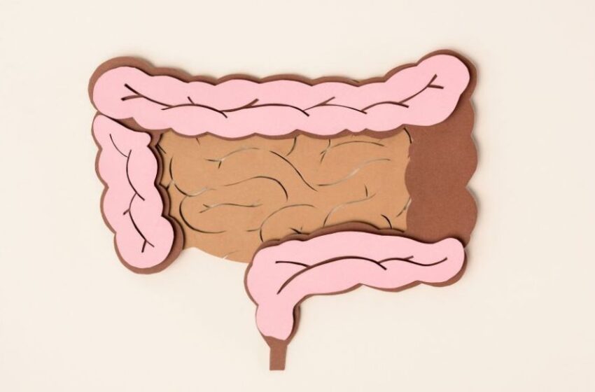  Estudio profundiza relación entre el microbioma intestinal y la diabetes