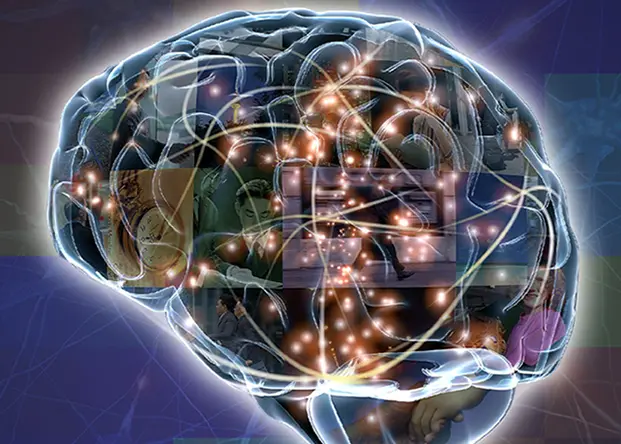  Anuncian Próximo Congreso de Innovación en Neurociencias, Psicología y Educación (CIN 2025) con Nuevos Enfoques Sobre el Neurodesarrollo