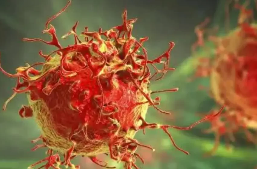  El 50 % de las muertes por cáncer se atribuyen a factores de riesgo que se pueden evitar