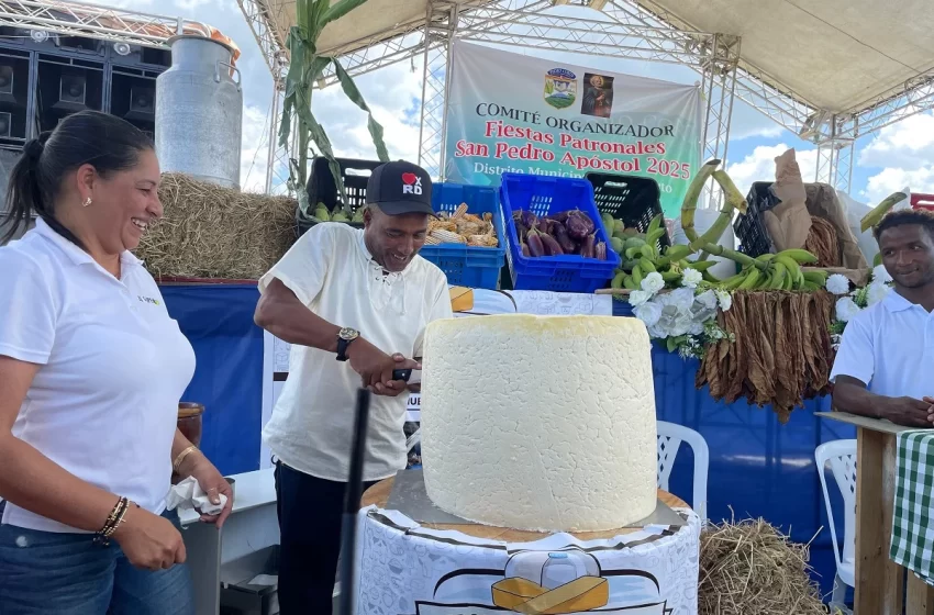  Queso de Pedro Corto, un sabor tradicional que destaca en la región sur