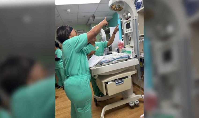  Enfermeras dominicanas se especializan en cuidados intensivos neonatales en EE. UU.