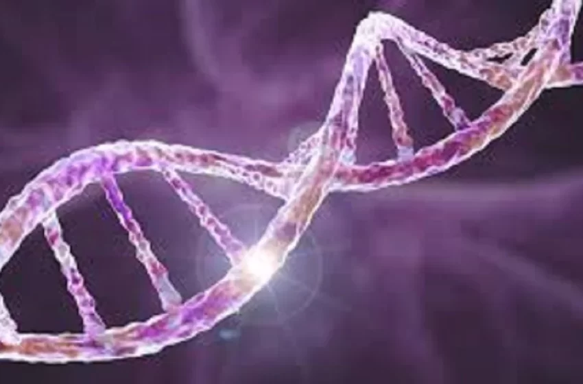  Mayo Clinic desarrolla herramienta para detectar alteraciones genéticas ocultas en el cáncer