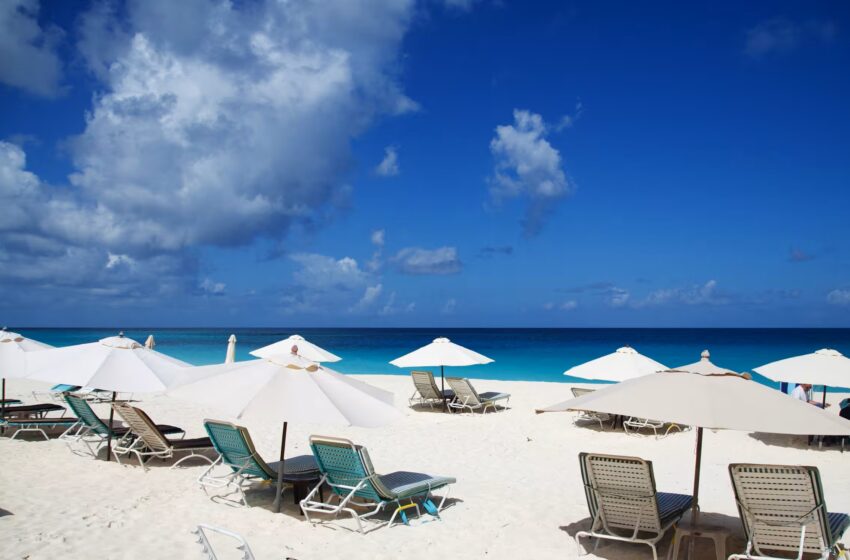  Cómo la inteligencia artificial se convirtió en una ganancia financiera inesperada para una pequeña isla caribeña