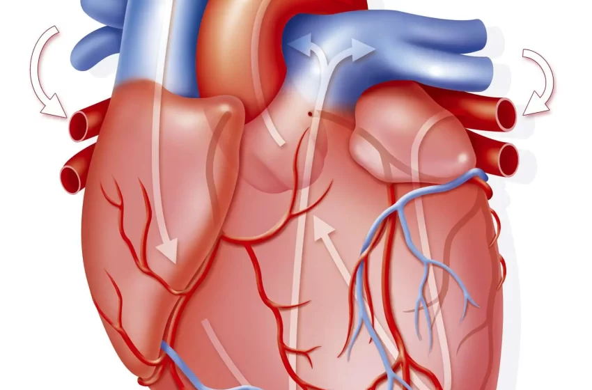  Día Mundial del Corazón: un llamado a prevenir enfermedades que afectan a uno de cada cinco