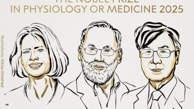  El Nobel de Medicina premia la investigación sobre el control del sistema inmunitario