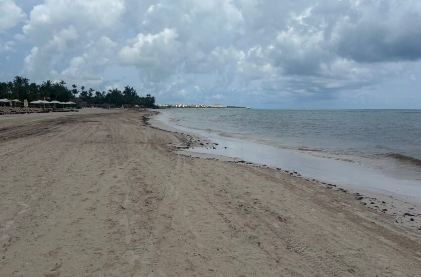  Disminuye llegada de sargazo a playas del este de R.Dominicana