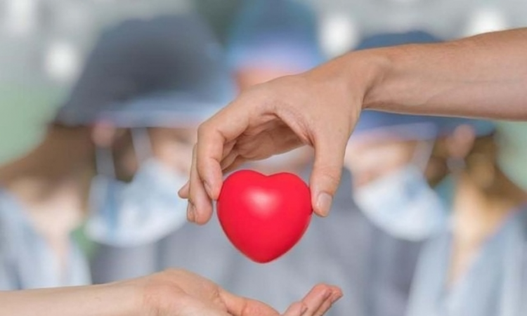  Europa celebra su primer trasplante parcial de corazón en niño con cardiopatía congénita compleja