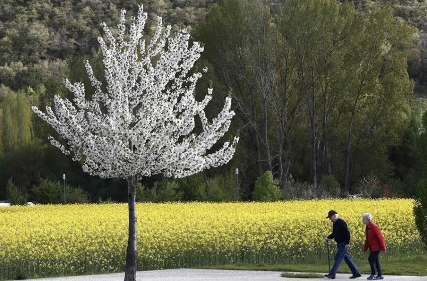  ¿Se podrá alargar la vida hasta los 150 años? La ciencia lo ve factible