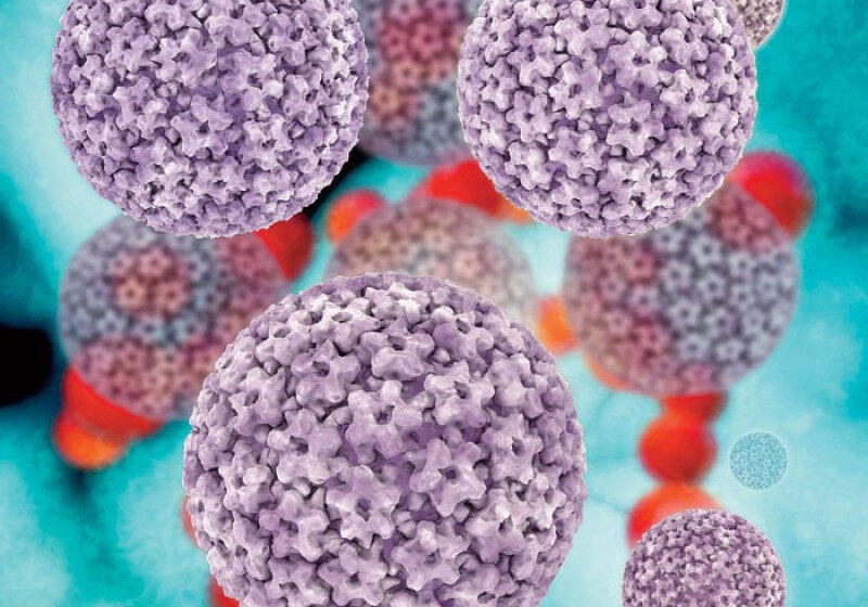  OMS lanza el Día Mundial contra el Cáncer Cervical, que causa 350 mil muertes anuales