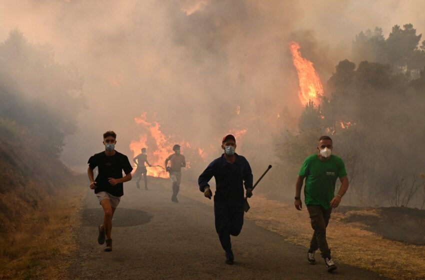  Medio centenar de países se comprometen a combatir los incendios desde la prevención