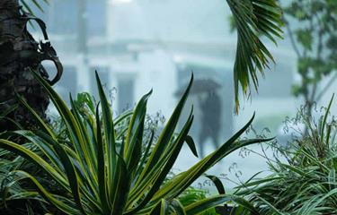  Las lluvias se intensificarán a partir del mediodía en varias provincias por vaguada y onda tropical