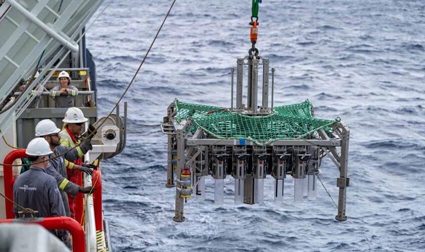  Constatan que los residuos de la minería en aguas profundas amenazan la vida marina