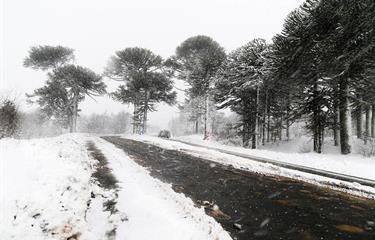  Nieve y lluvia provocan caos vial en Nueva York