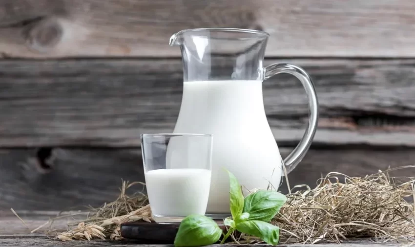  La leche, una aliada clave para prevenir la osteoporosis y la sarcopenia