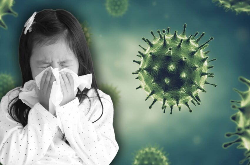  Virus respiratorios podrían aumentar por festividades, advierte Sociedad de Neumología