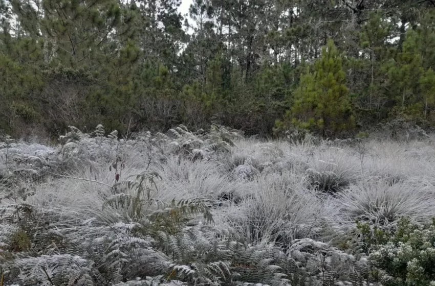  Siguen las bajas temperaturas en Constanza