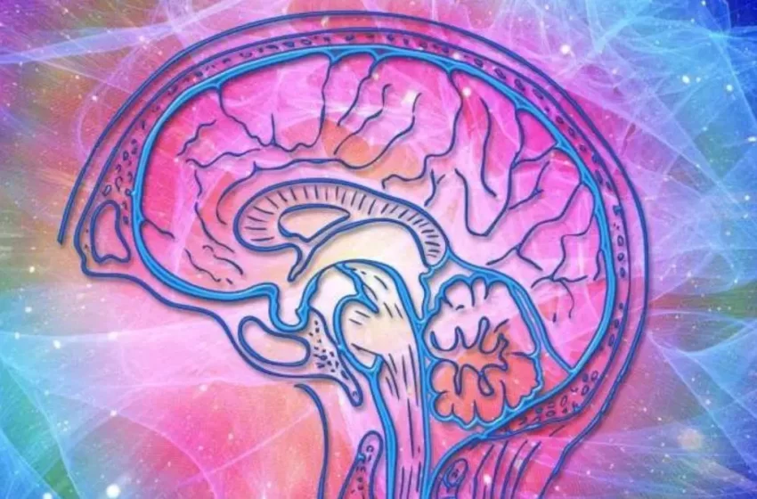  Agentes autónomos de IA detectan signos tempranos de Alzheimer y deterioro cognitivo a partir de notas médicas