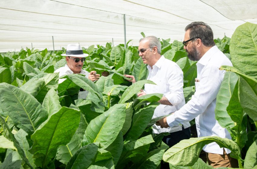  Abinader visita finca tabacalera “La Milagrosa” de Arturo Fuente en Monte Plata para replicar su moderna y avanzada tecnología en otras partes del país en la producción de capa