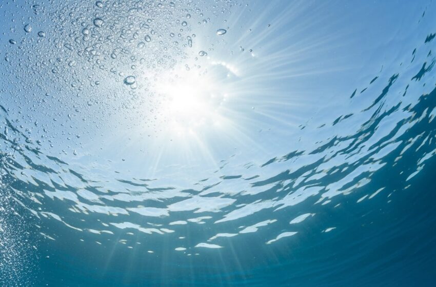  Los océanos rozan su récord de calor en marzo, alerta el observatorio Copernicus