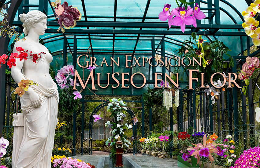  Anuncian Feria de Orquídeas del Cibao del 23 al 26 de abril