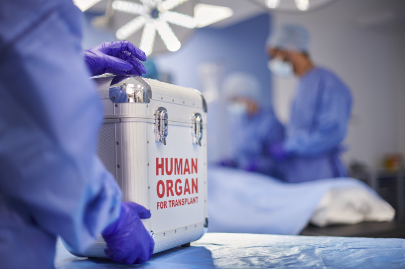 ¿Qué órganos y tejidos se pueden donar en vida y cuáles después de fallecer?