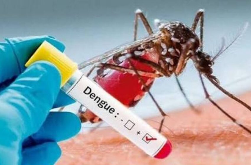  Dengue, leptospirosis y tosferina se multiplican respecto a 2025 para esta fecha