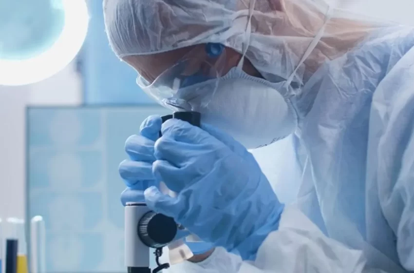  Descubren una combinación de fármacos que mejora el control del cáncer renal avanzado