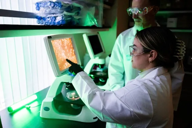  Calor extremo: la inteligencia artificial busca anticipar riesgos para la salud