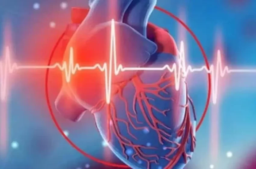  Día Mundial del Corazón: Cinco hábitos para cuidar la salud cardiovascular