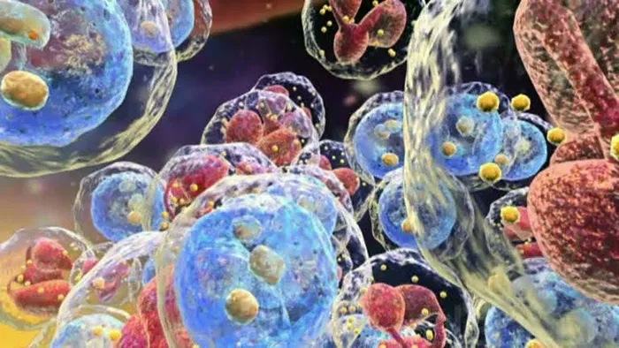  Inteligencia artificial facial podría ayudar a personalizar tratamientos contra el cáncer