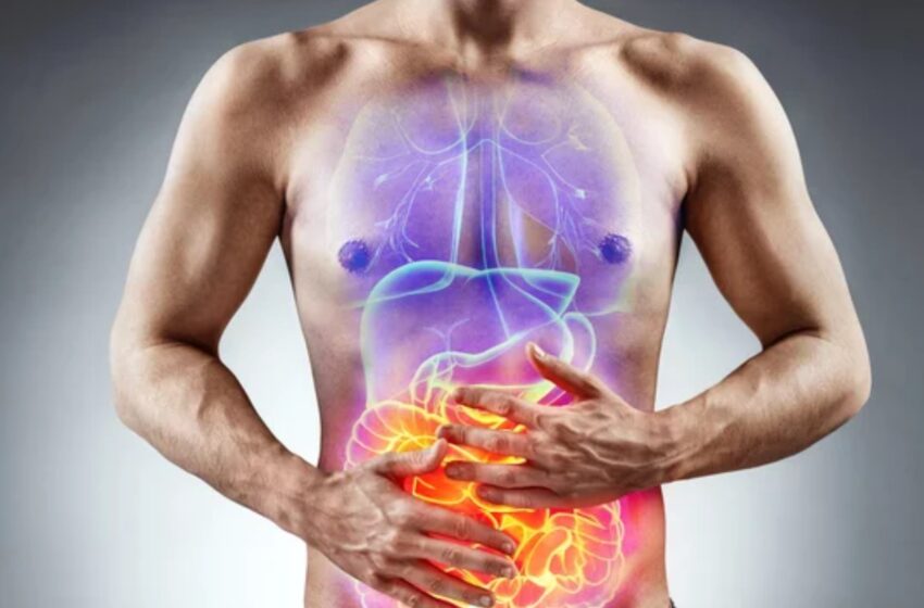  Síndrome del intestino irritable: afecta al 8,5% del mundo