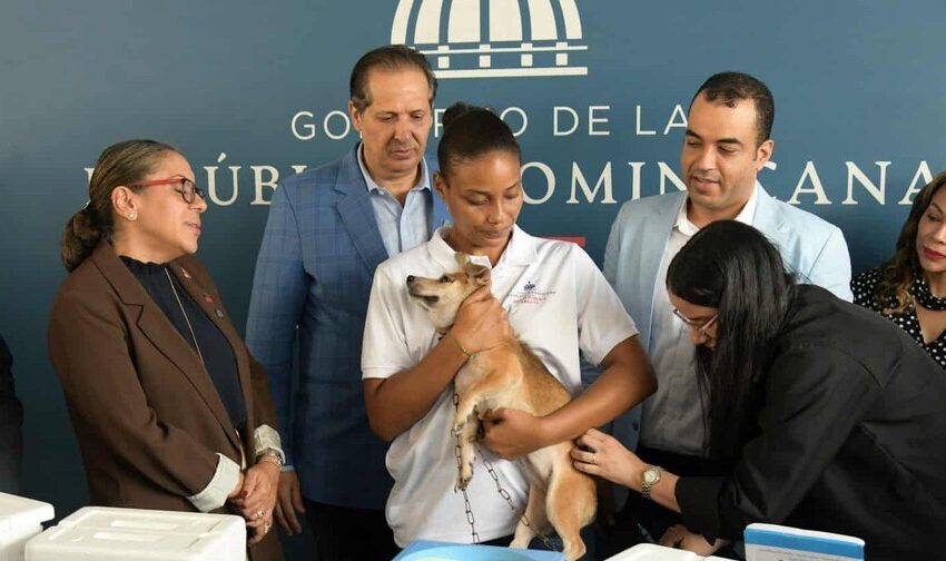  Un millón de dosis contra la rabia serán desplegadas en todo el país durante jornada de vacunación